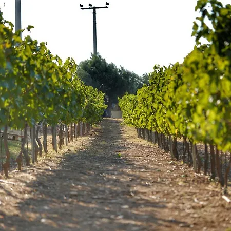 Villa Villa Evinoi Pallini (East Attica)