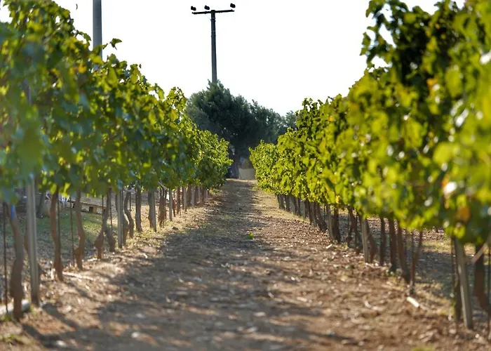 Villa Villa Evinoi Pallini (East Attica)