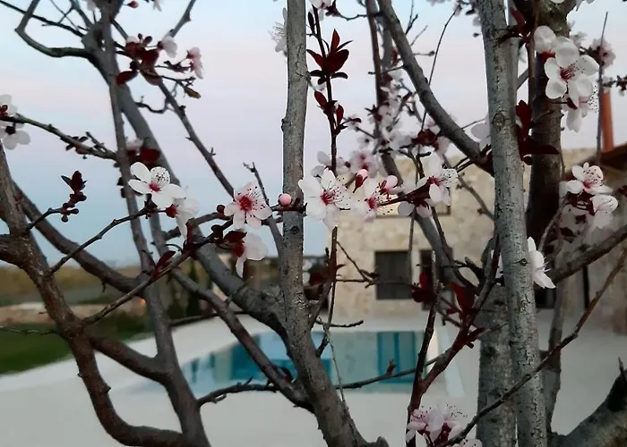 Villa Evinoi Villa *